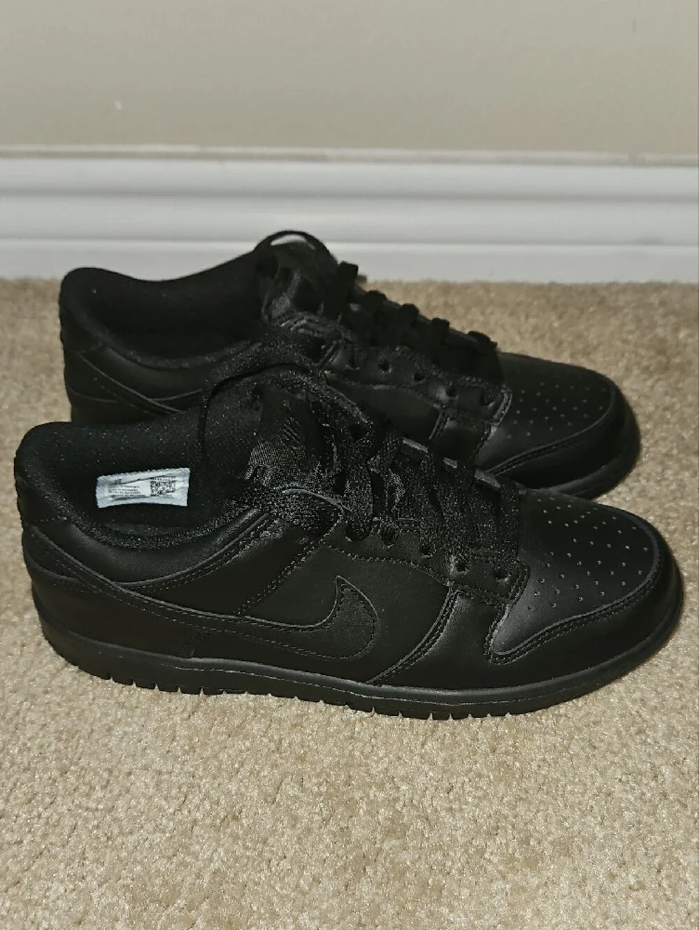 Nike Dunks LOW